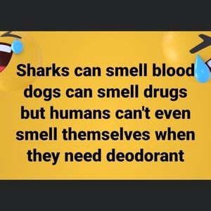 Meet your Posher, Michaela